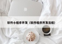 软件小程序开发（软件程序开发流程）