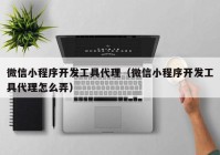 微信小程序开发工具代理（微信小程序开发工具代理怎么弄）