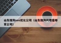 山东搜狗seo优化公司（山东搜狗代理是哪家公司）