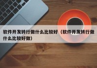 软件开发转行做什么比较好（软件开发转行做什么比较好做）